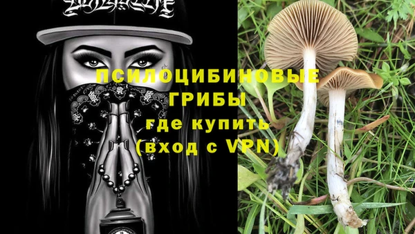 Альфа ПВП Нея
