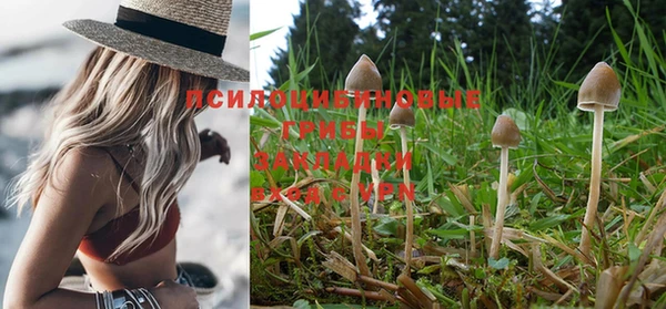 спайс Нефтекумск