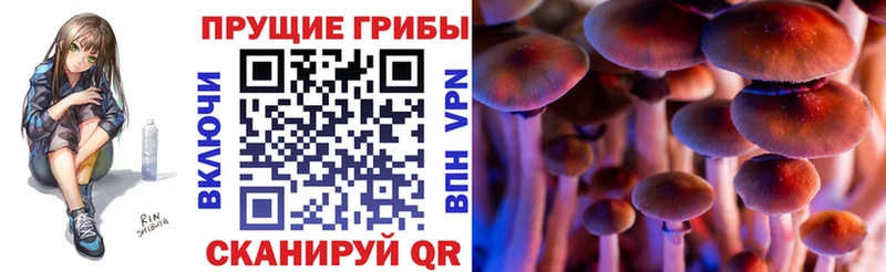 сайты даркнета состав  blacksprut вход  Эртиль  Галлюциногенные грибы MAGIC MUSHROOMS 